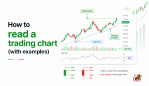 explaining how to read trading chart